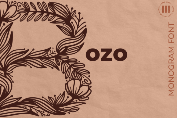 Bozo: A Unique Decorative Font for Branding