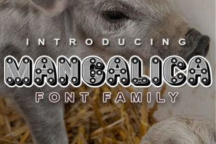 Mangalica: A Retro Decorative Font for Campaigns