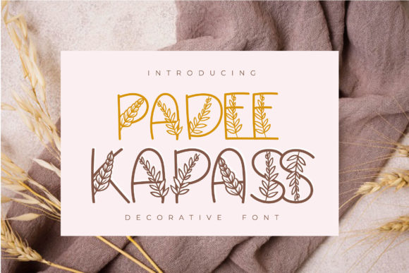 Padee Kapass: An Organic Decorative Typeface for Editorial Design