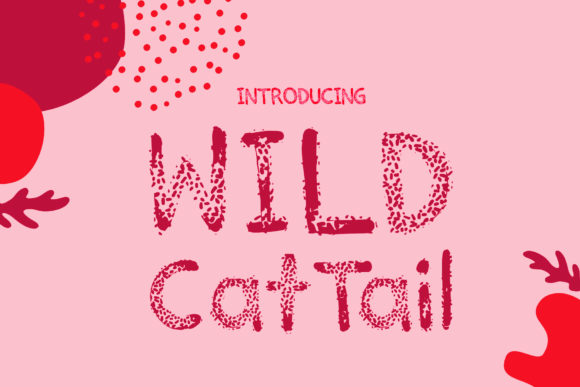 Wild Cat Tail: A Whimsy Font for Creative Brands